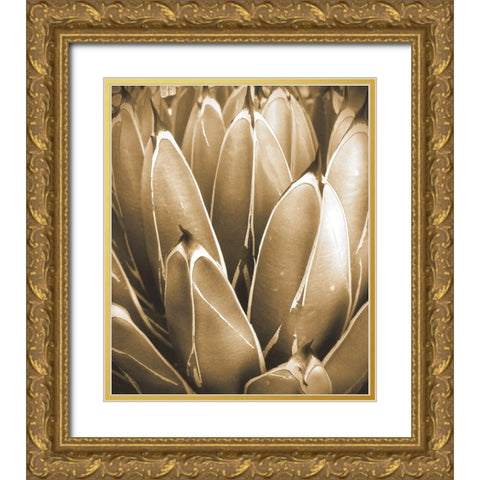 Agave Sepia Gold Ornate Wood Framed Art Print with Double Matting by Tenoever, William