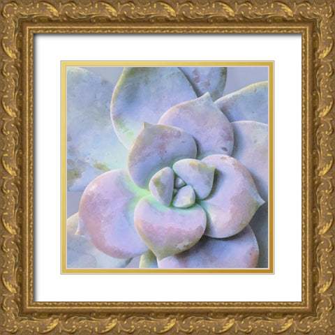 Moods Succulent III Gold Ornate Wood Framed Art Print with Double Matting by Tenoever, William