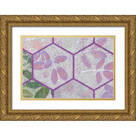 HexiFlora: Imprint 6 Gold Ornate Wood Framed Art Print with Double Matting by Tenoever, William