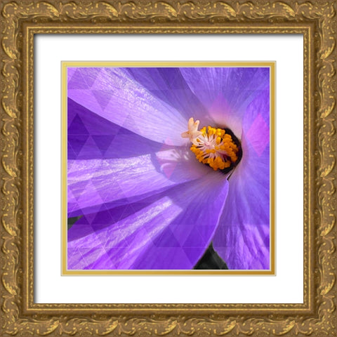 Blue Hibiscus Geometric Gold Ornate Wood Framed Art Print with Double Matting by Tenoever, William