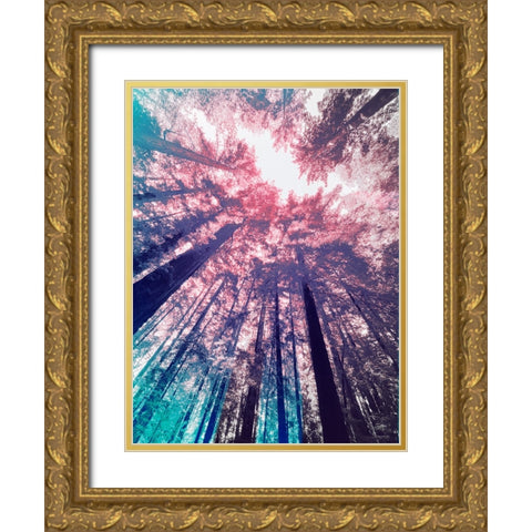Redwood Trees Tint 1 Gold Ornate Wood Framed Art Print with Double Matting by Tenoever, William
