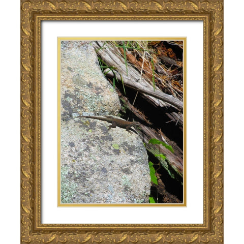 Lizard I Gold Ornate Wood Framed Art Print with Double Matting by Popcorn