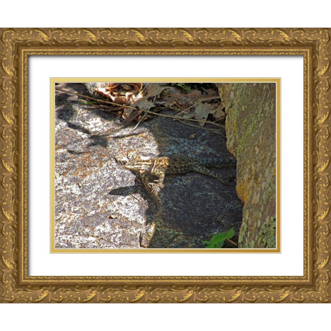 Lizard V Gold Ornate Wood Framed Art Print with Double Matting by Popcorn