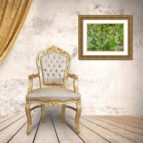 Butterfly I Gold Ornate Wood Framed Art Print with Double Matting by Popcorn