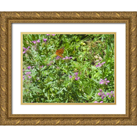 Butterfly I Gold Ornate Wood Framed Art Print with Double Matting by Popcorn