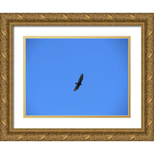 Perspective Image