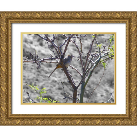 Finch I BandW Gold Ornate Wood Framed Art Print with Double Matting by Popcorn