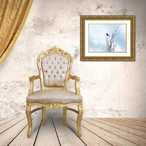 Bird Silhouette: Original Gold Ornate Wood Framed Art Print with Double Matting by Popcorn