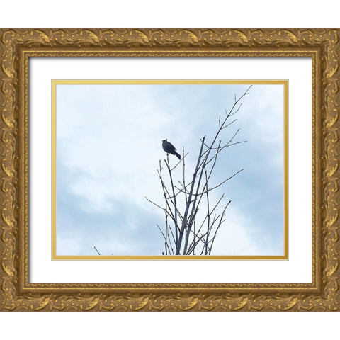 Bird Silhouette: Original Gold Ornate Wood Framed Art Print with Double Matting by Popcorn