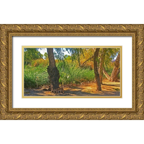 Bobcat II: Composite Gold Ornate Wood Framed Art Print with Double Matting by Popcorn