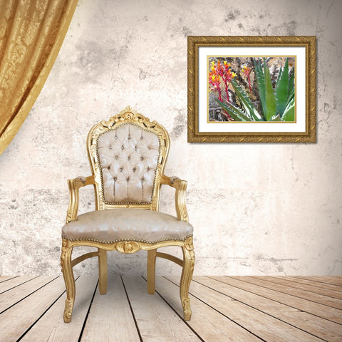 Rock Echeveria II W/ Agave Gold Ornate Wood Framed Art Print with Double Matting by Popcorn