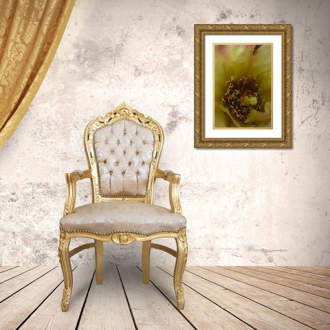 Cholla Bloom VI Gold Ornate Wood Framed Art Print with Double Matting by Popcorn