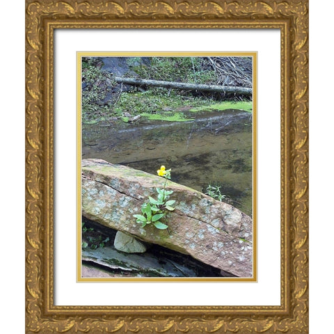 Yellow Flower Gold Ornate Wood Framed Art Print with Double Matting by Popcorn