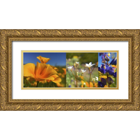 Wildflower Collage Gold Ornate Wood Framed Art Print with Double Matting by Popcorn