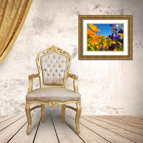 Wildflower III Gold Ornate Wood Framed Art Print with Double Matting by Popcorn