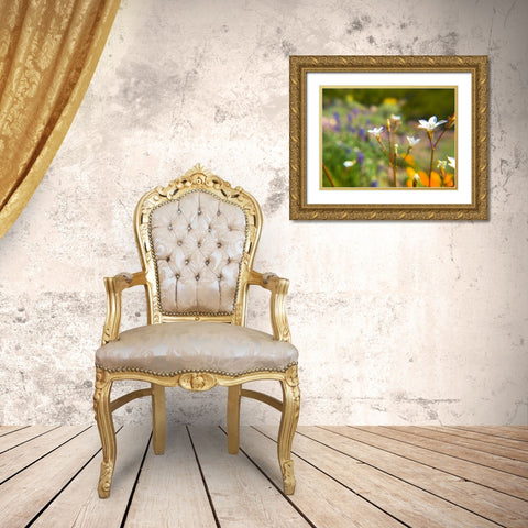 Wildflower IV Gold Ornate Wood Framed Art Print with Double Matting by Popcorn