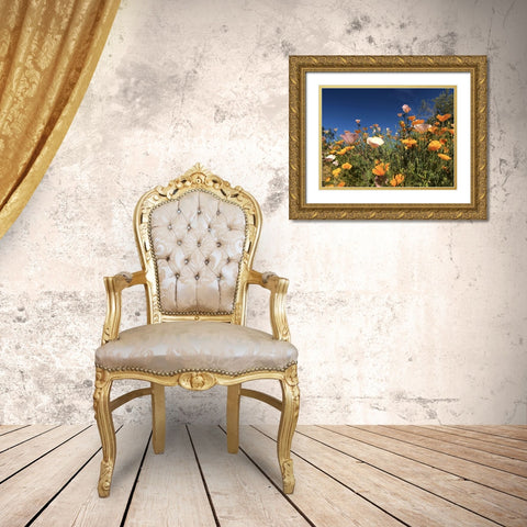 Wildflower X Gold Ornate Wood Framed Art Print with Double Matting by Popcorn