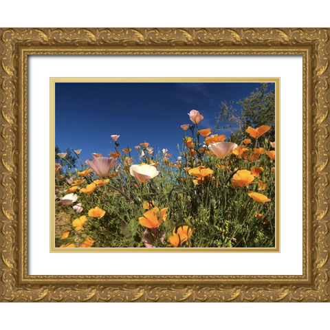 Wildflower X Gold Ornate Wood Framed Art Print with Double Matting by Popcorn