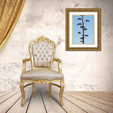 Century Plant II Gold Ornate Wood Framed Art Print with Double Matting by Popcorn