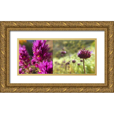 Wildflowers Collage I Gold Ornate Wood Framed Art Print with Double Matting by Popcorn