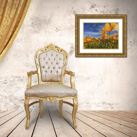Wildflowers XII Gold Ornate Wood Framed Art Print with Double Matting by Popcorn
