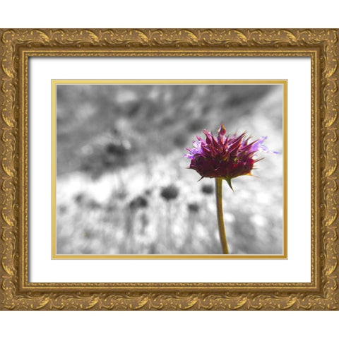 Sage I: BandW Gold Ornate Wood Framed Art Print with Double Matting by Popcorn