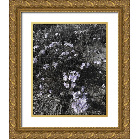 Wildflowers BandW I Gold Ornate Wood Framed Art Print with Double Matting by Popcorn