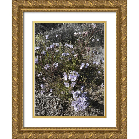 Wildflowers BandW II Gold Ornate Wood Framed Art Print with Double Matting by Popcorn