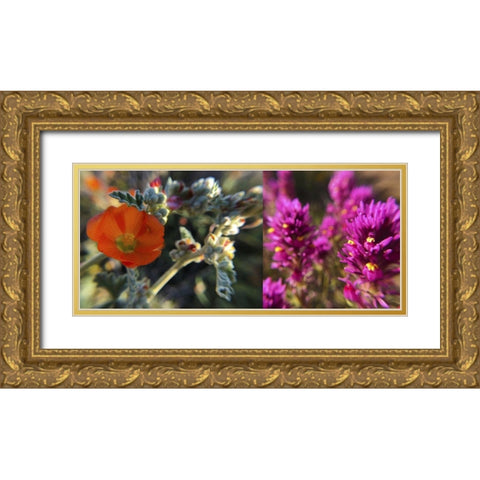 Wildflowers Collage III Gold Ornate Wood Framed Art Print with Double Matting by Popcorn