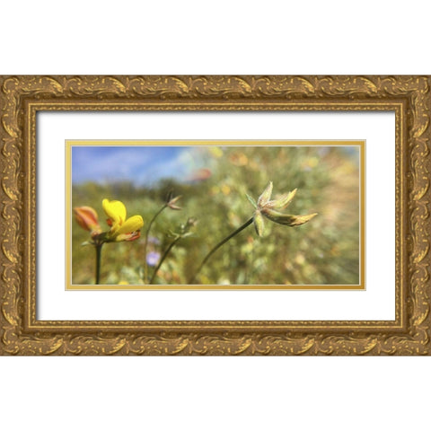 Wildflowers XXXII Gold Ornate Wood Framed Art Print with Double Matting by Popcorn