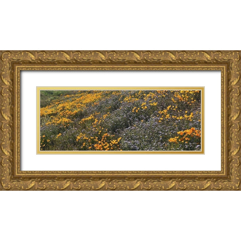 Wildflowers XXVIII Gold Ornate Wood Framed Art Print with Double Matting by Popcorn