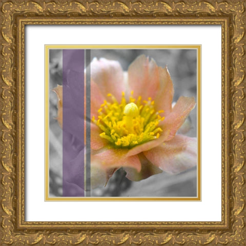 Cactus Flower BandW I A Gold Ornate Wood Framed Art Print with Double Matting by Popcorn