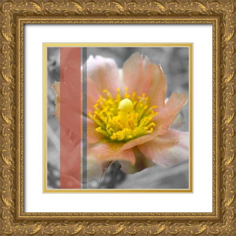 Cactus Flower BandW I B Gold Ornate Wood Framed Art Print with Double Matting by Popcorn