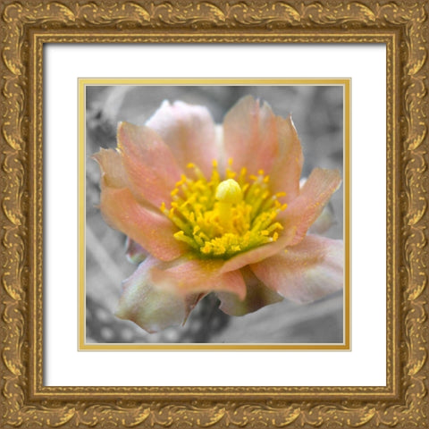 Cactus Flower BandW I Gold Ornate Wood Framed Art Print with Double Matting by Popcorn