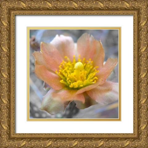 Cactus Flower BandW II Gold Ornate Wood Framed Art Print with Double Matting by Popcorn