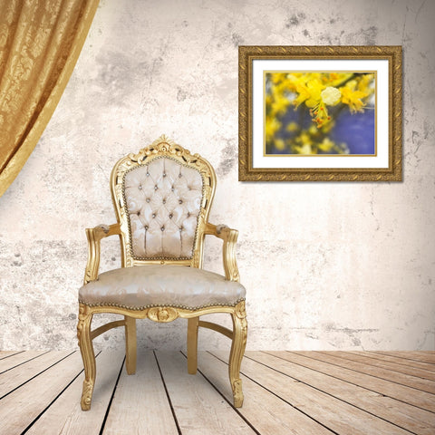 Tree In Bloom I Gold Ornate Wood Framed Art Print with Double Matting by Popcorn