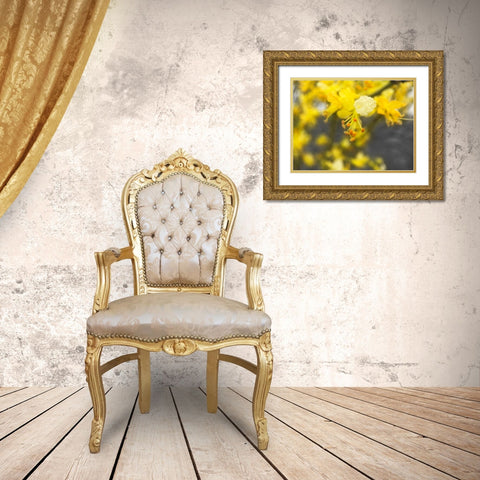 Tree In Bloom BandW Gold Ornate Wood Framed Art Print with Double Matting by Popcorn