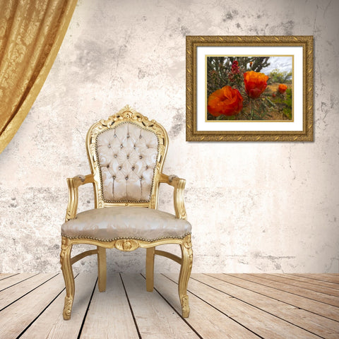 Cholla Bloom VIII Gold Ornate Wood Framed Art Print with Double Matting by Popcorn