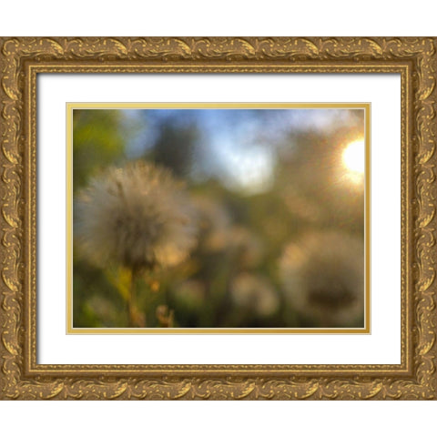 Golden Hour II Gold Ornate Wood Framed Art Print with Double Matting by Popcorn