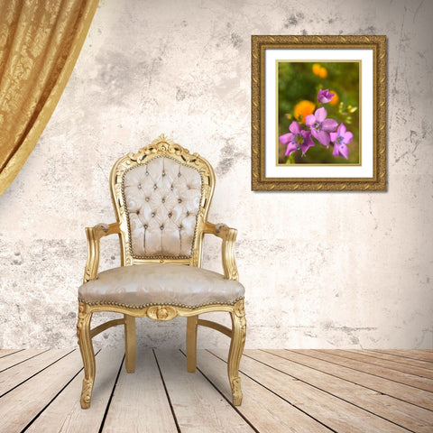 Purple Flower Blue Anthers I b Gold Ornate Wood Framed Art Print with Double Matting by Popcorn