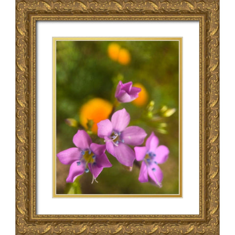Purple Flower Blue Anthers I b Gold Ornate Wood Framed Art Print with Double Matting by Popcorn