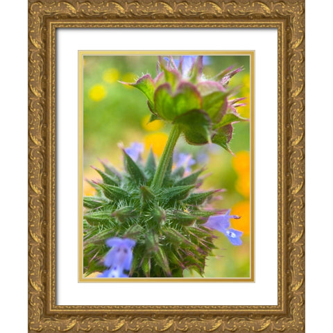 Wildflowers XL Gold Ornate Wood Framed Art Print with Double Matting by Popcorn