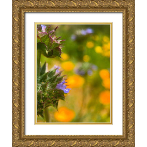 Wildflowers XLII Gold Ornate Wood Framed Art Print with Double Matting by Popcorn