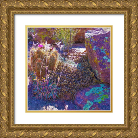 Rock Echeveria I-b W/ Hedgehog Cactus Gold Ornate Wood Framed Art Print with Double Matting by Tenoever, William