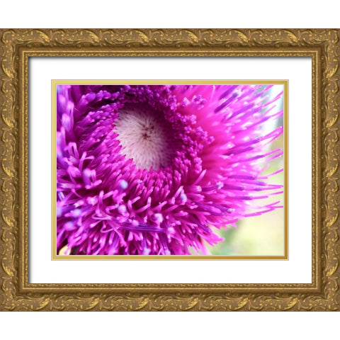 Thistle Gold Ornate Wood Framed Art Print with Double Matting by Tenoever, William