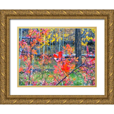 Fall Somewhere Gold Ornate Wood Framed Art Print with Double Matting by Tenoever, William