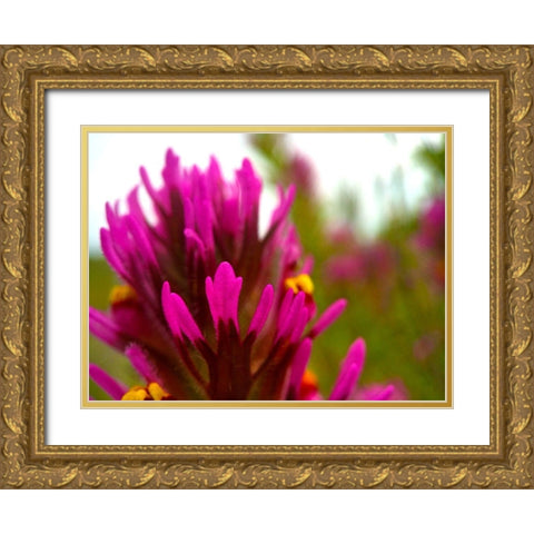 Owl Clover Gold Ornate Wood Framed Art Print with Double Matting by Tenoever, William