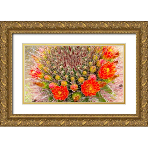 Barrel in Bloom IV Gold Ornate Wood Framed Art Print with Double Matting by Tenoever, William