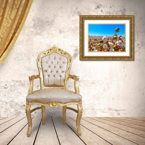CottonFields1 Gold Ornate Wood Framed Art Print with Double Matting by Tenoever, William