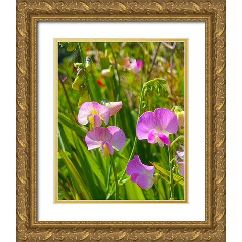 Peavine Gold Ornate Wood Framed Art Print with Double Matting by Tenoever, William